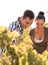 A brown haired man and woman in the vineyards