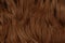 Brown hairs, textured background