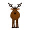 Brown hand drawn cartoon cute deer with antlers or caribou on brown background. Animal is isolated on white background. Front view