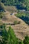 Brown harvested terraced rice paddies