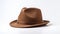 Brown Hat On White Surface: Precisionism Influence And Scoutcore Style