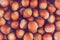 Brown hazelnut closeup of nuts whole unpeeled pattern background