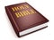 Brown holy bible book