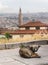 Brown homeless dog lying on the stone ground and city landscape in background, Ankara, Turkey