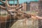 A brown horned deer eating from a hands through the metal fence