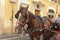 Brown horse attached to romantic carriage in Rome, Italy