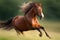 Brown horse gallops gracefully on green grass.