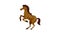 Brown horse icon animation