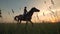 Brown horse with a jockey girl sitting astride it