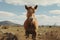 a brown horse standing in a grassy field