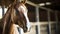Brown Horse Standing in Stable, Graceful Equestrian Beauty Captured Indoors
