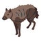 Brown hyena icon isometric vector. Wild animal