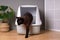 brown indoor cat stepping out of closed kitty litter box in living room