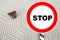 Brown insect, Clothes moth, sitting on a white woolen sweater, red STOP sign, selective focus, pest concept, destruction and