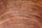 brown ironwood texture background