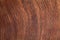 brown ironwood texture background