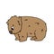 Brown Isolated vector outline cute wombat. Cartoon animal white background, side view, looks down