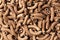 brown italian wholegrain raw organic pasta horn texture background