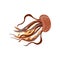 Brown jellyfish close-up. Vector illustration on white background.