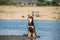 Brown kelpie dog is sitting on the island in water.