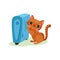 Brown kitten warming his paws on heating radiator, mischievous cute little cat vector Illustration on a white background