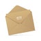 Brown kraft vector envelope isolated on background