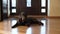 A brown labrador lies on the floor in the hallway of a private house