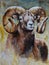 A brown large male ram with steep large horns looks straight ahead. Realistic watercolor painting