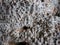 Brown lava rock background texture. Uneven surface with pimples.