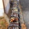 Brown leaf on a rusty painted metal fence in barbed wire perspective