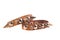 A brown leather bracelet with spikes