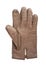 Brown leather glove isolated