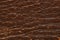 Brown leather texture macro. rough material abstract background