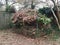 Brown leaves and weeds in large compost pile and fence