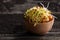 Brown Lentils Sprouts in a Wooden bowl