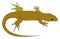 Brown lizard, illustration, vector