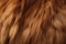 Brown llama fur, a close up capture of its exquisite texture