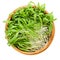 Brown millet microgreen in wooden bowl over white