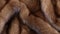 Brown mink fur texture background