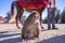 Brown monkey sitting beside banana peel on ground in sunlight