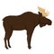 Brown Moose Forest Wild Life Isolated object Vector animals Geometric style