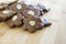 Brown moravian dark gingerbreads with sliced almonds on wooden table, christmas cookies