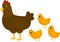 Brown mother hen with yellow baby chicks. Set of vector illustration in flat style