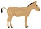 brown mule donkey animal vector illustration transparent background