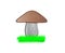 Brown mushroom on green grass, vector illustration