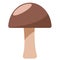 Brown mushroom vector