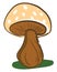 A brown mushroom with white spots, vector or color illustration