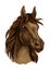 Brown mustang horse artistic portrait