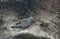 Brown Noddy or Common Noddy Anous stolidus, Punta Vicente Roca, Isabela Island, Galapagos Islands