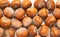 Brown nuts with shell background .